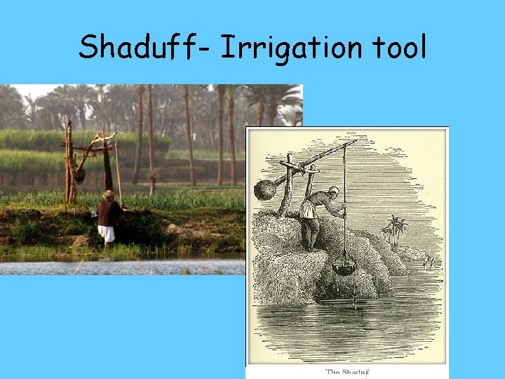 Shaduff- Irrigation tool Shaduff- Irrigation tool