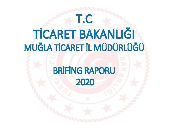 T. C TİCARET BAKANLIĞI MUĞLA TİCARET İL MÜDÜRLÜĞÜ BRİFİNG RAPORU 2020 