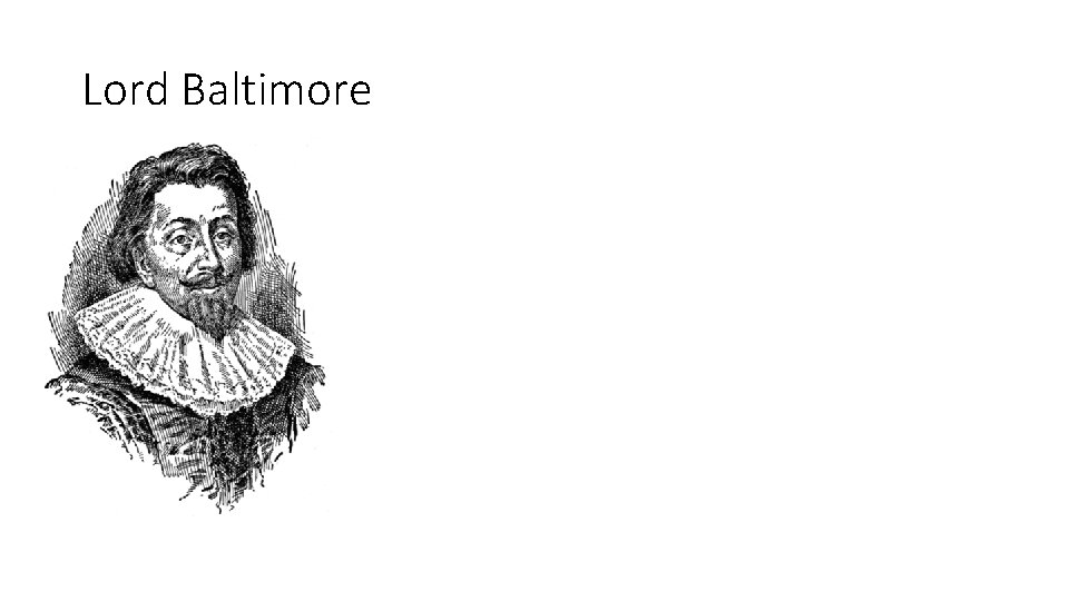 Lord Baltimore 