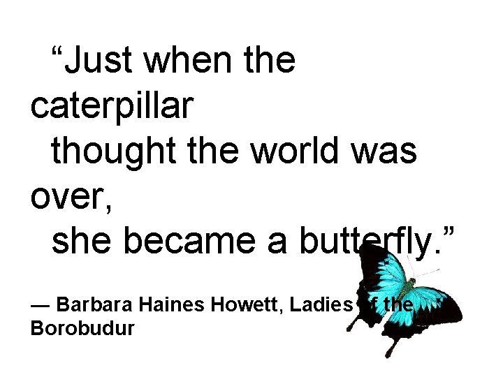 “Just when the caterpillar thought the world was over, she became a butterfly. ”