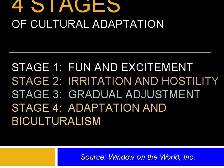 4 STAGES OF CULTURAL ADAPTATION STAGE 1: FUN AND EXCITEMENT STAGE 2: IRRITATION AND
