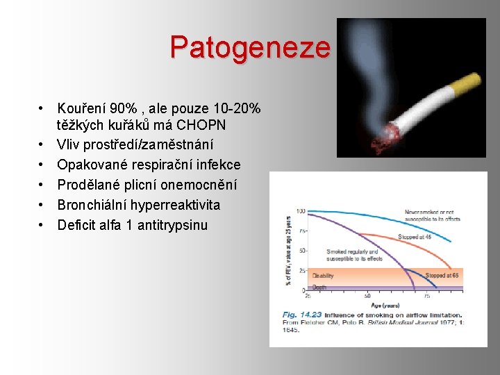 Patogeneze • Kouření 90% , ale pouze 10 -20% těžkých kuřáků má CHOPN •