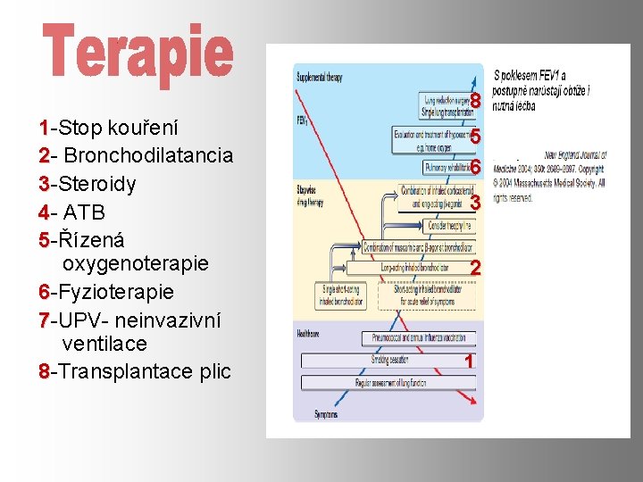 8 1 -Stop kouření 2 - Bronchodilatancia 3 -Steroidy 4 - ATB 5 -Řízená