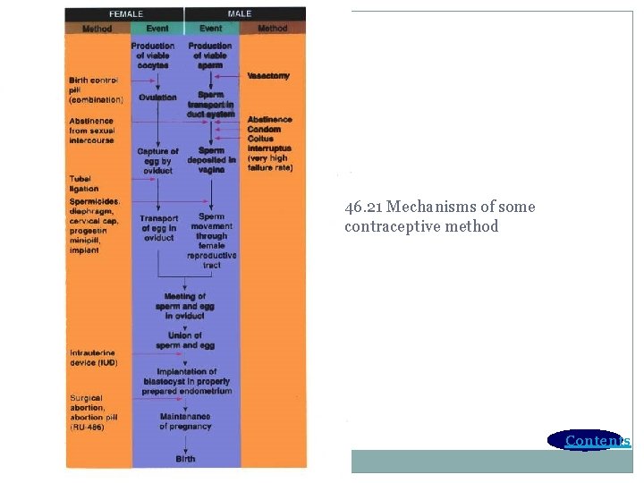 46. 21 Mechanisms of some contraceptive method Contents 
