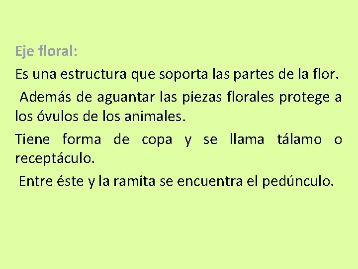 Eje floral: Es una estructura que soporta las partes de la flor. Además de