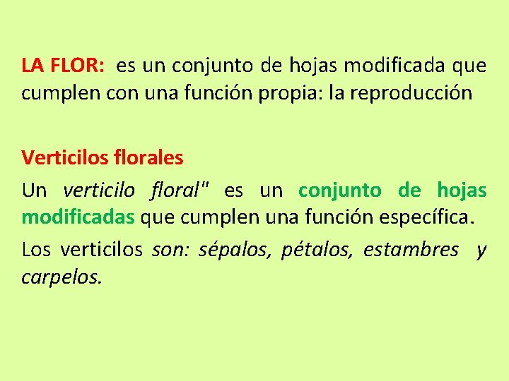 LA FLOR: es un conjunto de hojas modificada que cumplen con una función propia: