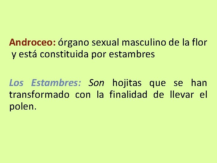 Androceo: órgano sexual masculino de la flor y está constituida por estambres Los Estambres: