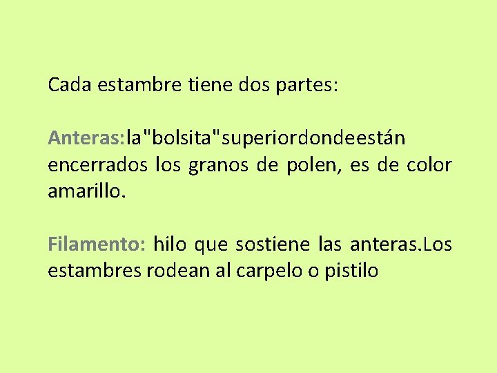 Cada estambre tiene dos partes: Anteras: la "bolsita" superior donde están encerrados los granos