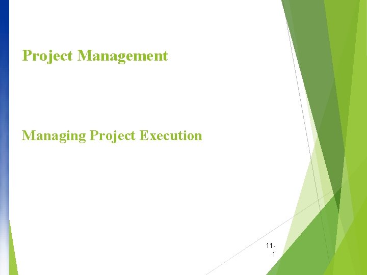 Project Management Managing Project Execution 111 