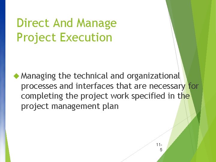 Direct And Manage Project Execution Managing the technical and organizational processes and interfaces that