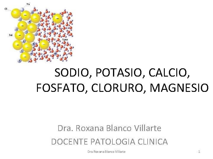 SODIO, POTASIO, CALCIO, FOSFATO, CLORURO, MAGNESIO Dra. Roxana Blanco Villarte DOCENTE PATOLOGIA CLINICA Dra