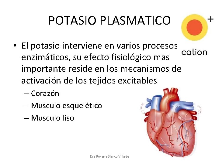 POTASIO PLASMATICO • El potasio interviene en varios procesos enzimáticos, su efecto fisiológico mas