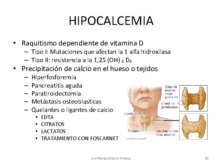 HIPOCALCEMIA • Raquitismo dependiente de vitamina D – Tipo I: Mutaciones que afectan la