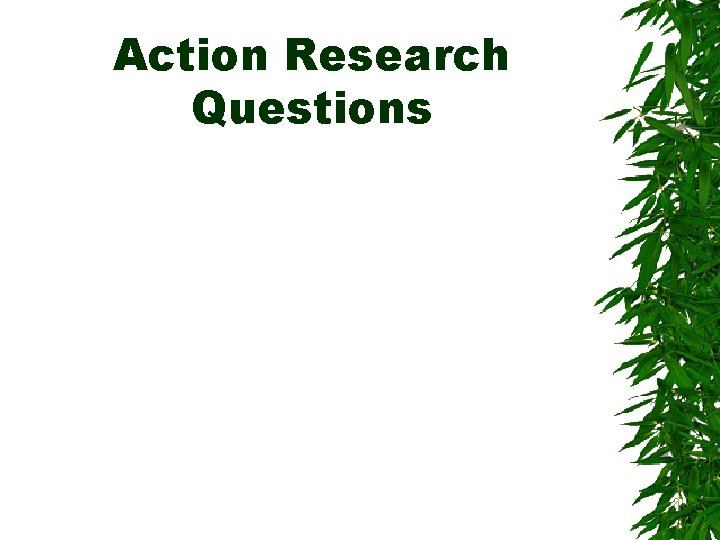 Action Research Questions 