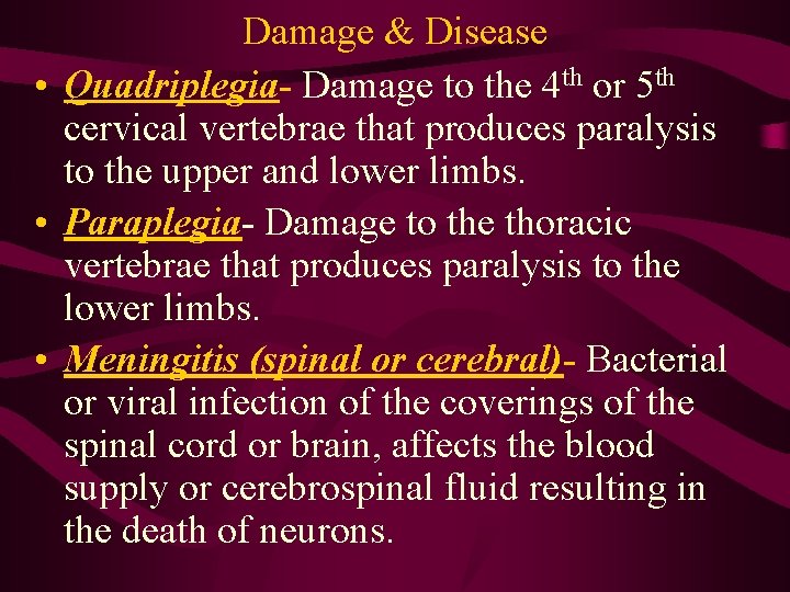 Damage & Disease • Quadriplegia- Damage to the 4 th or 5 th cervical