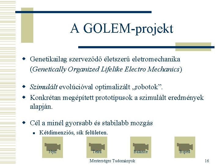 A GOLEM-projekt w Genetikailag szerveződő életszerű eletromechanika (Genetically Organized Lifelike Electro Mechanics) w Szimulált