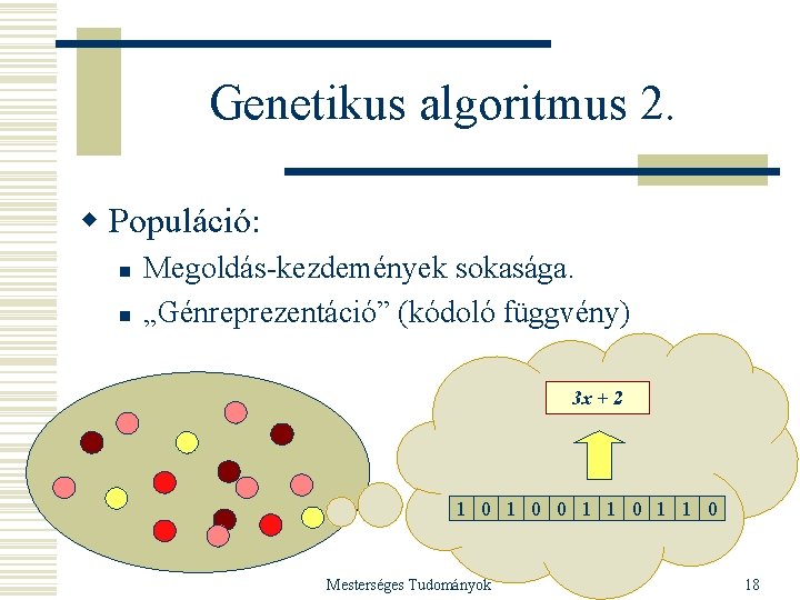 Genetikus algoritmus 2. w Populáció: n n Megoldás-kezdemények sokasága. „Génreprezentáció” (kódoló függvény) 3 x