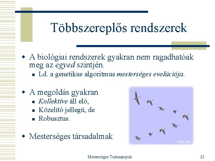 Többszereplős rendszerek w A biológiai rendszerek gyakran nem ragadhatóak meg az egyed szintjén. n