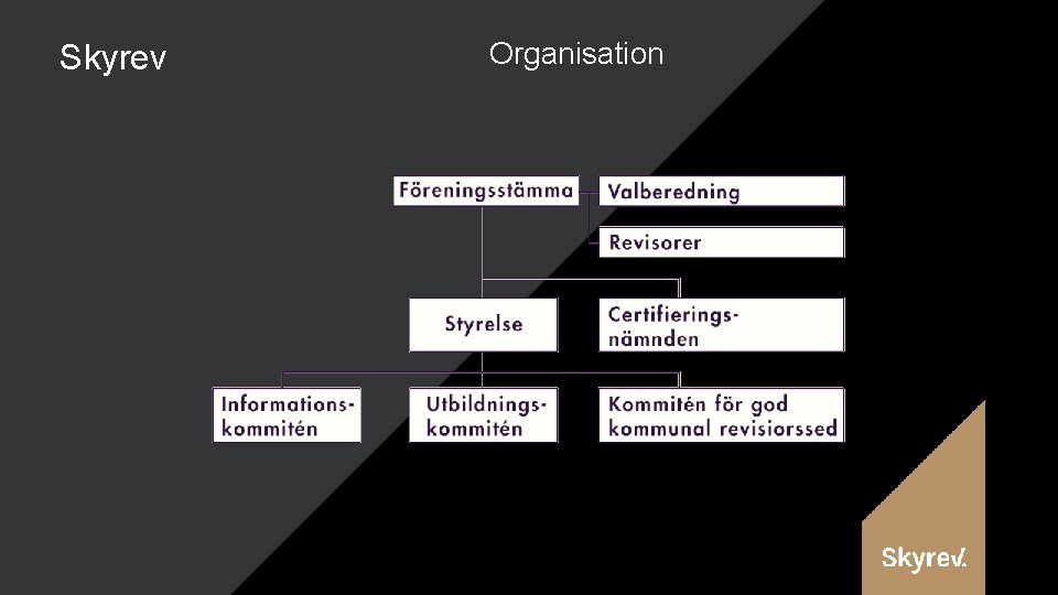 Skyrev Organisation 