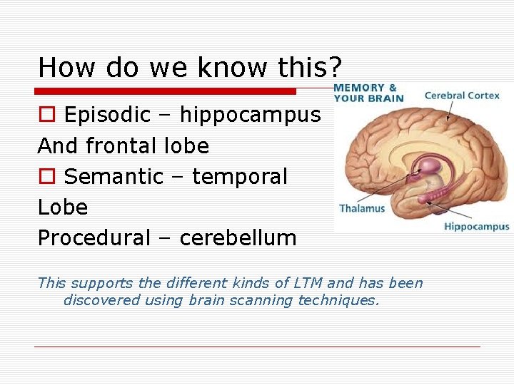 How do we know this? o Episodic – hippocampus And frontal lobe o Semantic