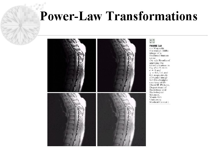 Power-Law Transformations 