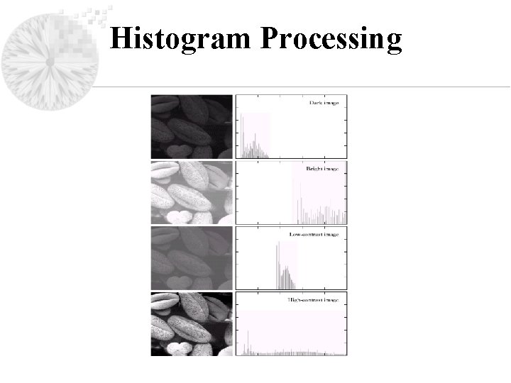 Histogram Processing 