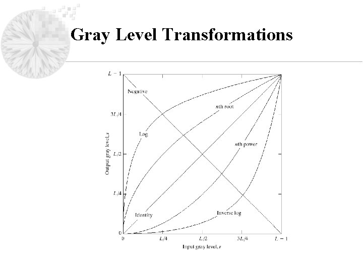 Gray Level Transformations 