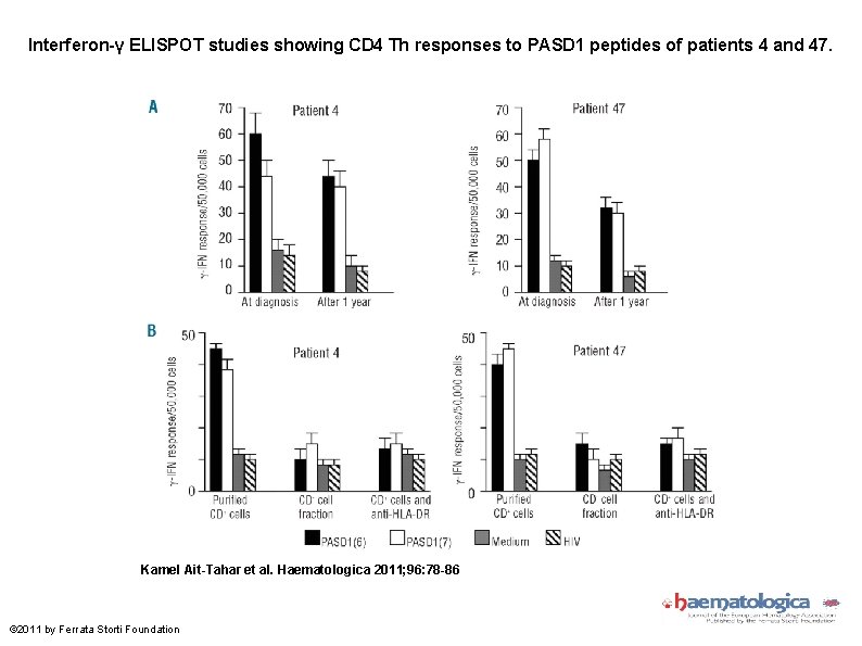 Interferon-γ ELISPOT studies showing CD 4 Th responses to PASD 1 peptides of patients