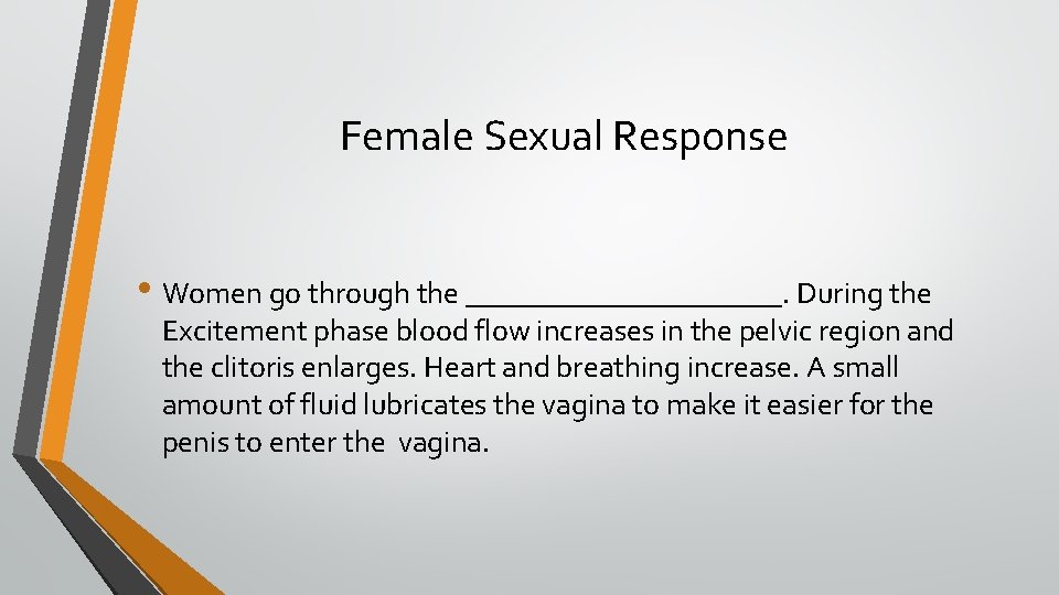 Female Sexual Response • Women go through the ___________. During the Excitement phase blood