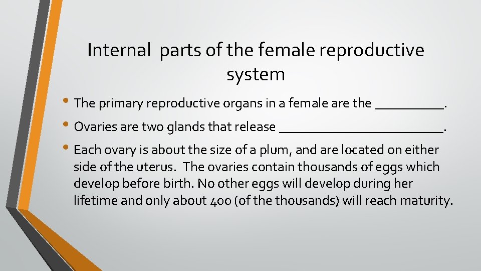 Internal parts of the female reproductive system • The primary reproductive organs in a