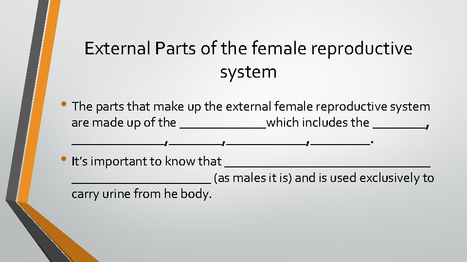 External Parts of the female reproductive system • The parts that make up the