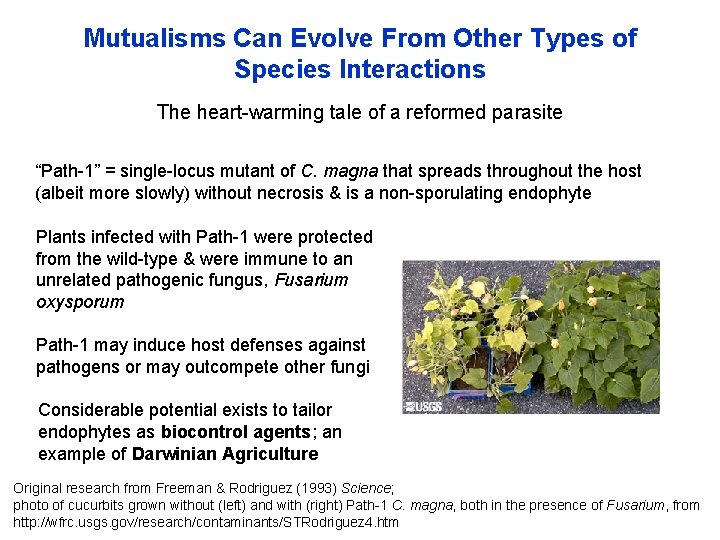 Mutualisms Can Evolve From Other Types of Species Interactions The heart-warming tale of a