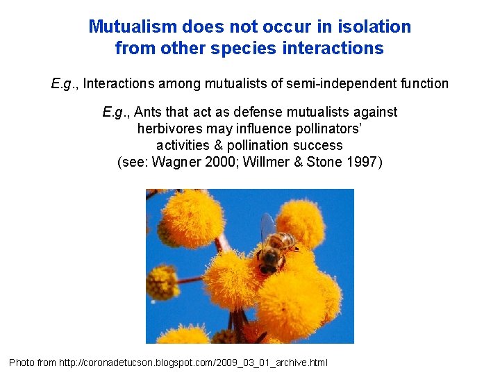 Mutualism does not occur in isolation from other species interactions E. g. , Interactions