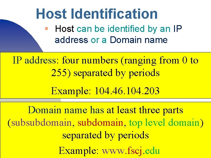 Host Identification § Host can be identified by an IP address or a Domain