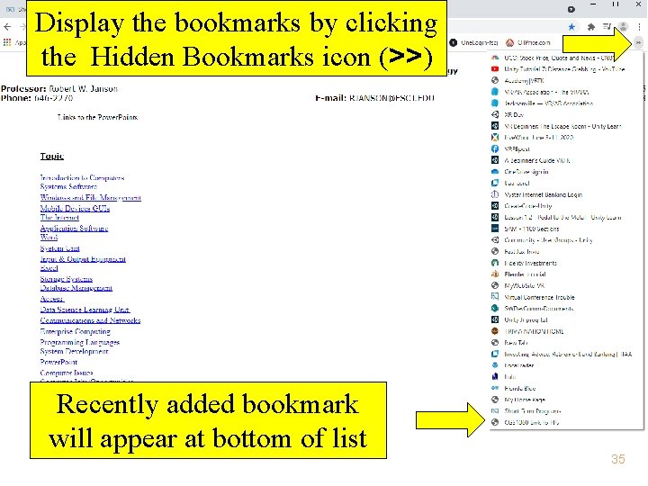 Display the bookmarks by clicking the Hidden Bookmarks icon (>>) Recently added bookmark will