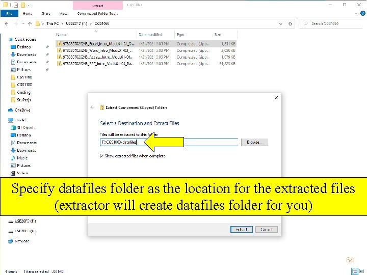 Specify datafiles folder as the location for the extracted files (extractor will create datafiles