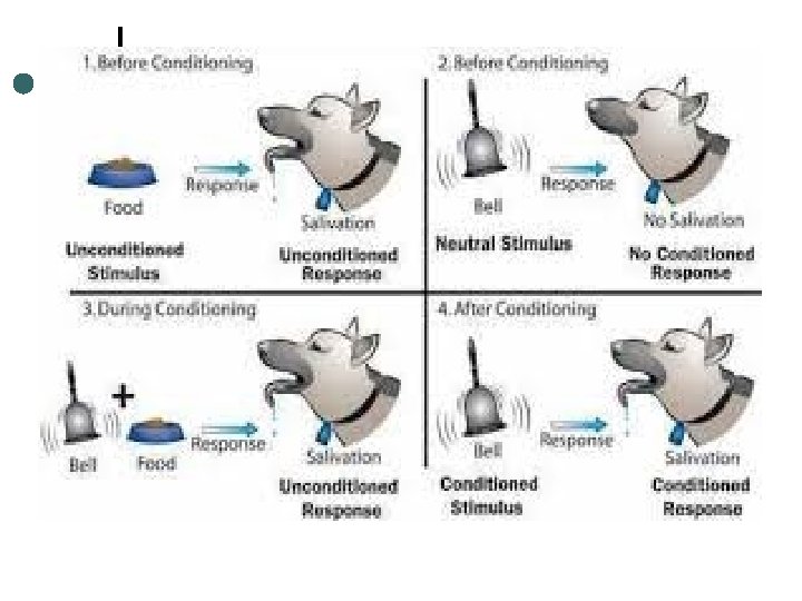 Animal Behavior What is behavioral ecology Behavioral ecology