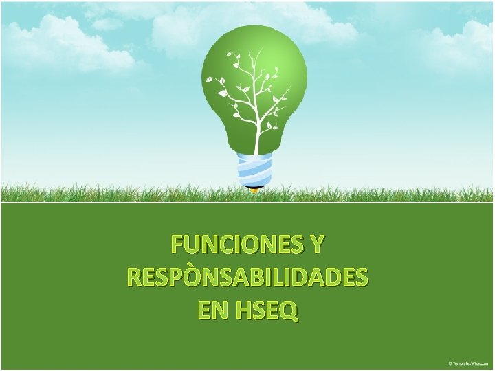 FUNCIONES Y RESPÒNSABILIDADES EN HSEQ 1 