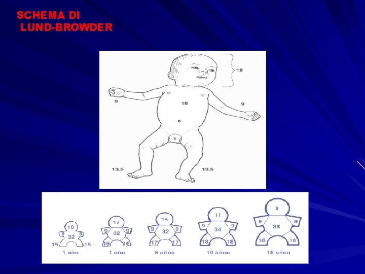 SCHEMA DI LUND-BROWDER 