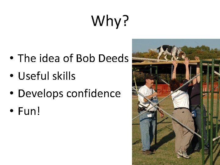 Why? • • The idea of Bob Deeds Useful skills Develops confidence Fun! 