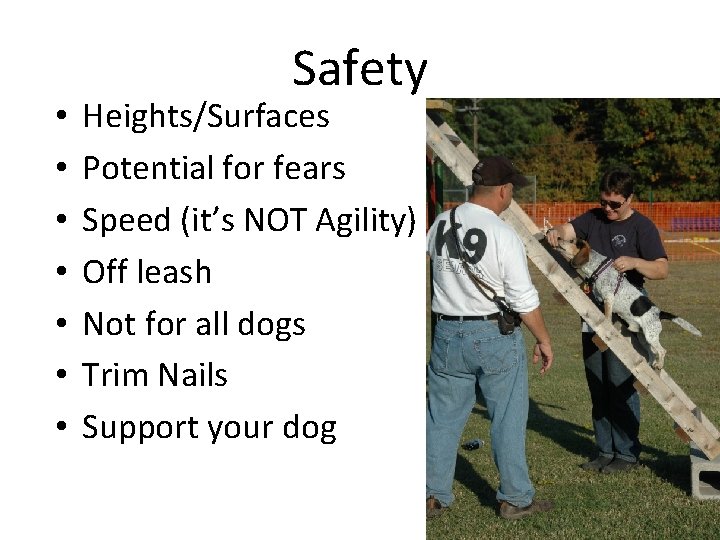  • • Safety Heights/Surfaces Potential for fears Speed (it’s NOT Agility) Off leash