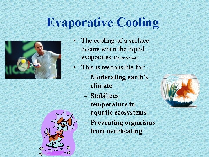 Evaporative Cooling • The cooling of a surface occurs when the liquid evaporates (Under