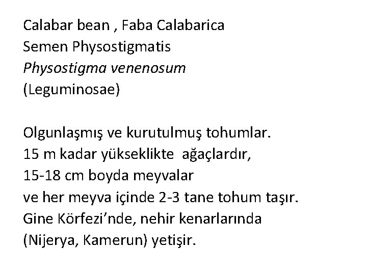 Calabar bean , Faba Calabarica Semen Physostigmatis Physostigma venenosum (Leguminosae) Olgunlaşmış ve kurutulmuş tohumlar.