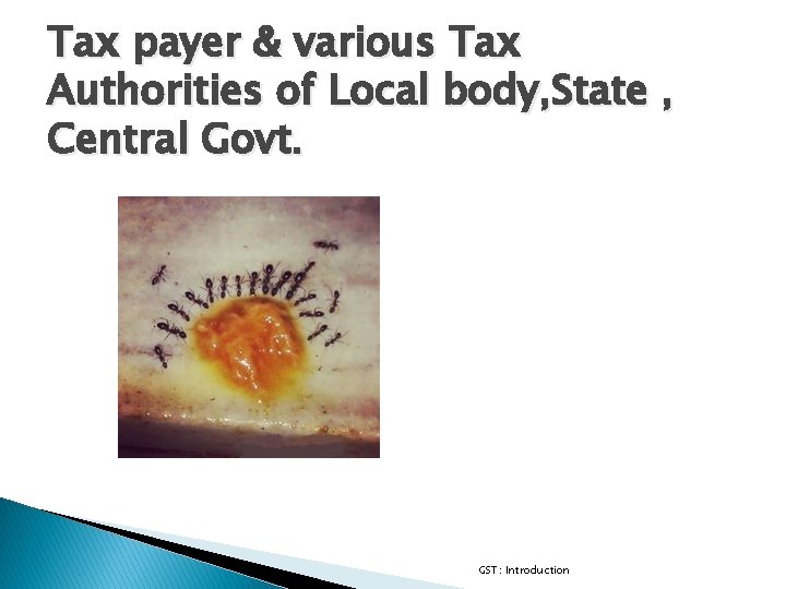 Tax payer & various Tax Authorities of Local body, State , Central Govt. GST: