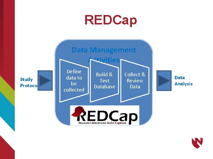 REDCap Data Management Activities Study Protocol Define data to be collected Build & Test