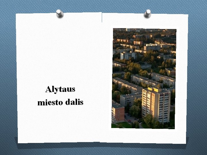 Alytaus miesto dalis 