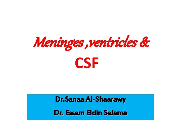 Meninges , ventricles & CSF Dr. Sanaa Al-Shaarawy Dr. Essam Eldin Salama Meninges , ventricles & CSF Dr. Sanaa Al-Shaarawy Dr. Essam Eldin Salama