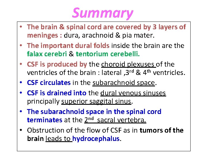 Summary • The brain & spinal cord are covered by 3 layers of meninges Summary • The brain & spinal cord are covered by 3 layers of meninges