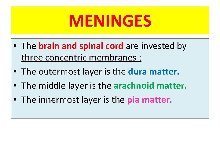 MENINGES • The brain and spinal cord are invested by three concentric membranes ; MENINGES • The brain and spinal cord are invested by three concentric membranes ;
