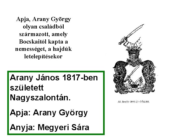 Apja, Arany György olyan családból származott, amely Bocskaitól kapta a nemességet, a hajdúk letelepítésekor